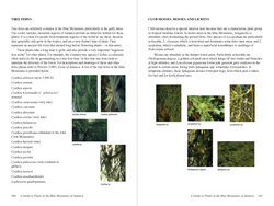 Interior sample for A Guide to Plants in the Blue Mountains of Jamaica