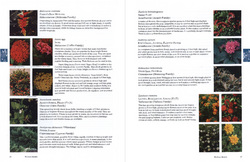 Interior sample for Plants for Tropical Landscapes: A Gardener's Guide