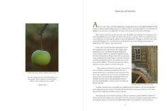 Interior sample for Memories: An Appalachian Sense of Place