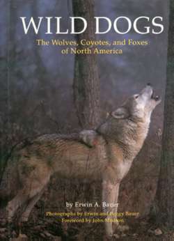Wild Dogs: The Wolves, Coyotes and Foxes of North America